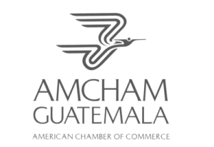 logo ancham