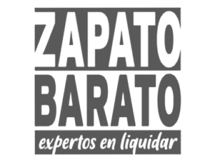 logo zapato